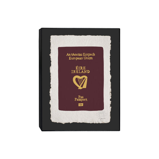 IRISH PASSPORT IRELAND MEDIUM FRAMED PRINT 8x10